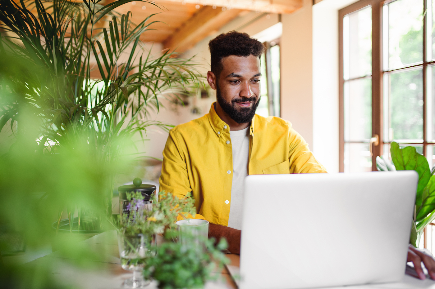 Man using laptop with plants