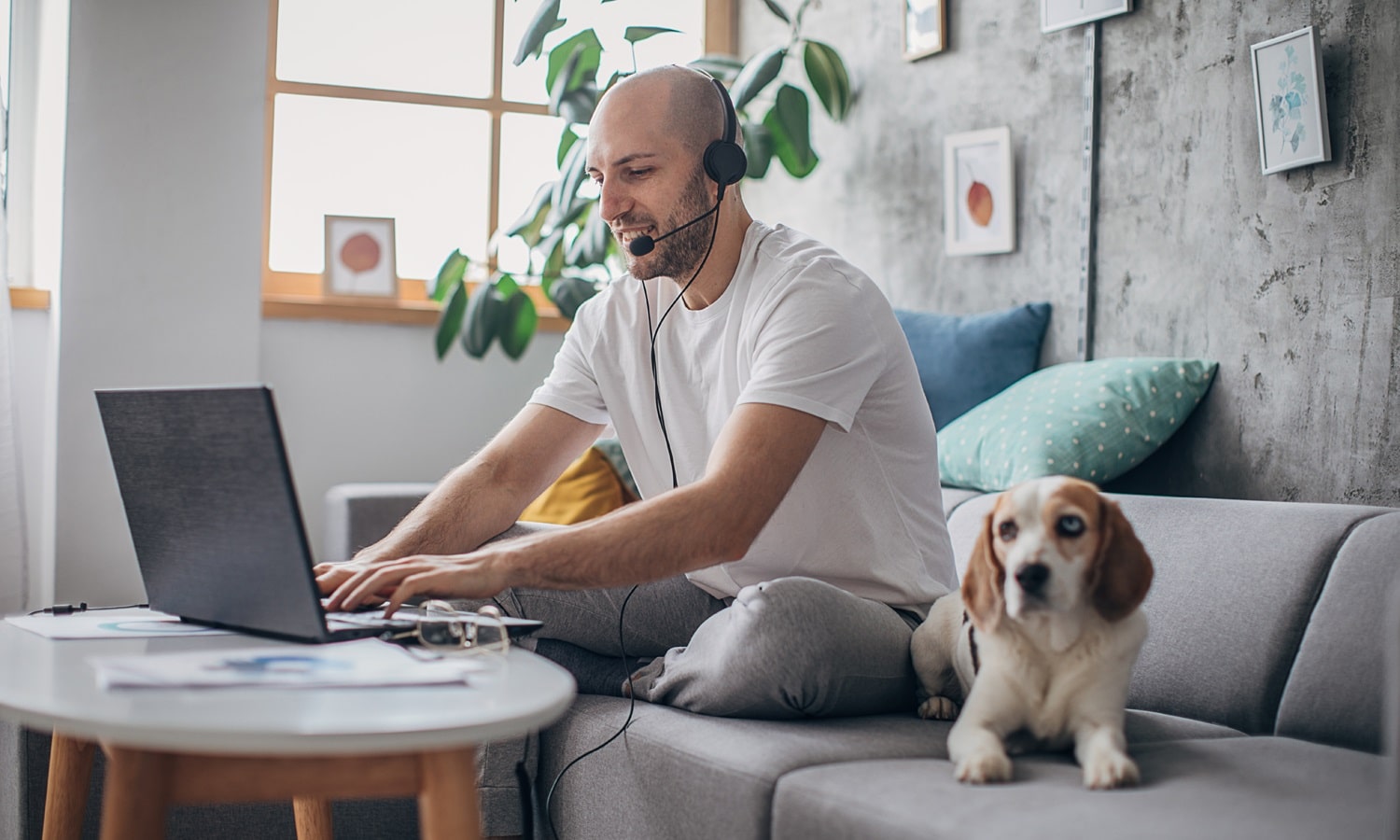 Success Story: Alpha CC