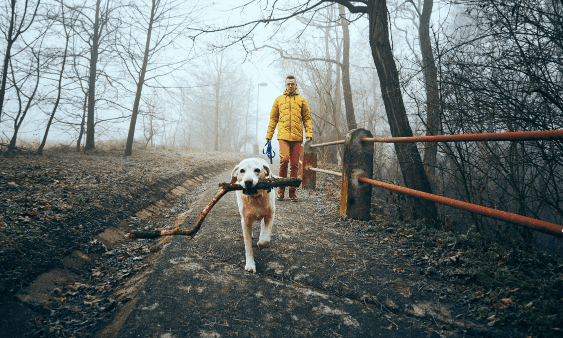 GOTO0075_PMM_GTC_CaseStudy_StandforAnimalsVeterinaryClinic_CS_1500x900-png